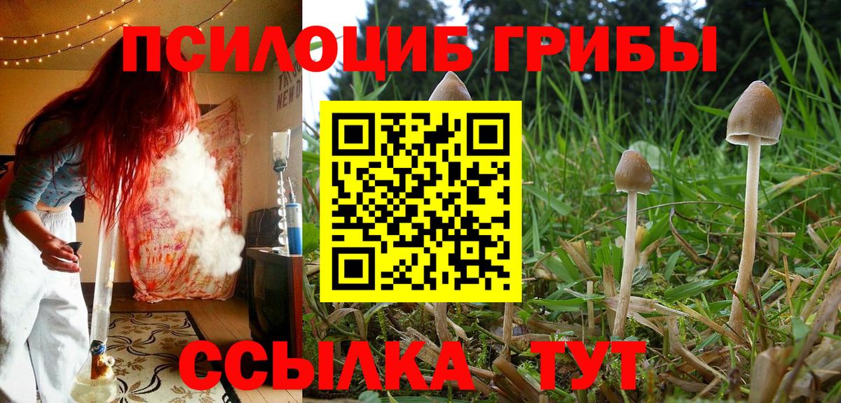 Тавда  Галлюциногенные грибы MAGIC MUSHROOMS  Вход с VPN 
