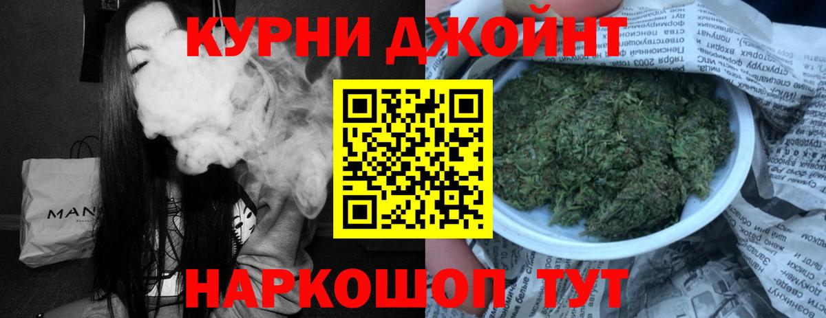 Конопля гибрид Тавда