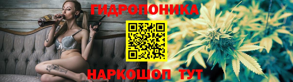 МАРИХУАНА SATIVA & INDICA  Каннабис семена  Тавда  МАРИХУАНА MAZAR  Вход с VPN 